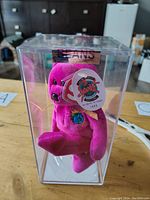 Front view of pink TY Beanie Baby Millennium 1999 Special Olympics bear sealed in clear plastic protective case with tags visible.