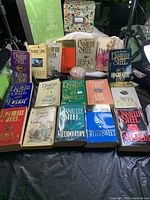 Seventeen pre-loved Danielle Steel novels displayed in two rows with various cover colors and titles visible.