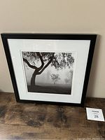 Black framed, matted black and white photo of trees in a misty landscape, approx. 14x14 inches.