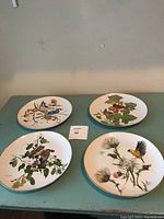 Photo showing four Glen Loates collector plates on table with visible bird illustrations and gold rims.