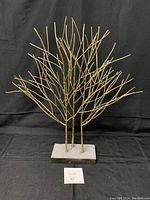 Full view of gold metal tree sculpture on concrete base against black background.