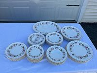 Full set displayed on white tablecloth outdoors on grass surface showing all plates, bowls and platter.
