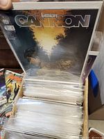 Comic books stacked vertically in plastic sleeves showing Lathom Cannion cover