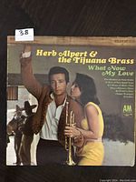 Front album cover of Herb Alpert & the Tijuana Brass 'What Now My Love' showing Herb Alpert with trumpet and woman in yellow dress.