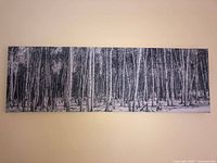 Front view of a rectangular canvas print showing a monochrome winter woodlands scene with birch trees.