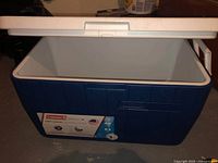 Open cooler showing clean white interior and blue exterior with capacity tag attached
