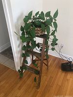Full view of pothos trailing indoor plant in woven pottery basket on rustic wooden ladder stand.