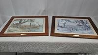 Two framed Howard Burger art prints side by side on a cloth background showing overall appearance and framing.