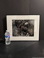 Photo showing the framed gelatin silver print photograph with a water bottle for size reference