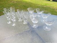 14 clear glasses arranged on outdoor glass table. 7 wine glasses to left, taller with medium bowl, and 7 dessert glasses to right, shorter with wide shallow bowl. All have etched coneflower floral design near rim.