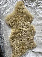 View of the sheep skin on a white fabric surface, showing the soft, fluffy wool side in light cream and beige tones with an irregular organic shape.