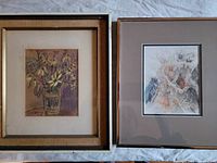 Photo of two framed prints side by side, one floral drawing by S. Gibson on the left and one insect drawing by Ian McKhann on the right