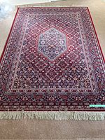 Full view of rug on carpeted floor showing overall pattern, colors and fringe on one end