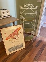 View of entire shelf and framed butterfly artwork standing on the floor.