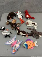 All 11 early rare Beanie Babies plush toys displayed together showing their various animal designs and original Ty tags.