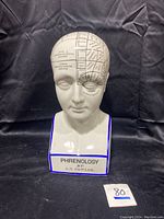 Front view of the porcelain phrenology head statue showing labeled brain areas and 'PHRENOLOGY BY L.N. FOWLER' text on the base.