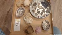 Overview of the full lot showing all stones, shells, coral, and fossils on a beige tray with some items outside the tray.