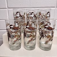 Front view of six clear glasses with winter sparrow, pine cone, and branch illustrations.