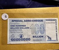 Front of 100 Billion Dollar Zimbabwe Special Agro-Cheque 2008 banknote showing denomination, serial number, giraffe emblem, signatures, and Reserve Bank of Zimbabwe text.