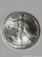 Front side of 2003 USA Silver Dollar coin featuring Walking Liberty design, showing Lady Liberty with American flag and rising sun.