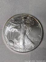 Front face of the 2004 USA Silver Dollar Walking Liberty coin showing the figure of Liberty walking with a flowing gown and the sun rising behind the horizon.