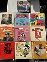 Shows all 10 vinyl records arranged on a flat surface, colorful covers visible, titles legible