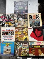 Photo showing 11 vintage vinyl records with various artists including Moms Mabley, The Beach Boys, The Doors, Jan & Dean, Old Testament.