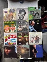 Photo of 12 vintage vinyl record albums laid out showing front covers clearly, some with artist portraits, graphic designs and polka themes.