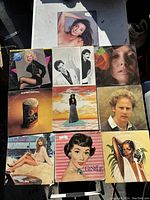 Overview photo of all 10 vintage vinyl record album covers arranged in a 3x4 grid layout showing varied artists and styles