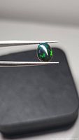 Oval cabochon black opal gemstone held with tweezers showing multicolored green flashes on dark body tone.