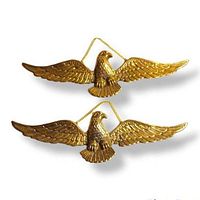 Front view of two brass eagle wall hangings with outstretched wings and chains for hanging.