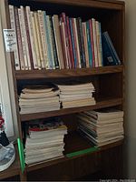 Upper shelf of wooden bookcase showing hardcover and paperback dollhouse books with visible titles on miniatures and interiors