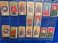 Full set of 16 cards arranged in five-pocket pages on blue cloth background