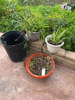 Photo showing three potted plants and one large black bucket outdoors on a patio ledge.
