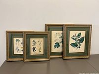 Four framed botanical prints with matching ornate wood frames and green/cream mats, shown together on flat surface.