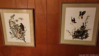 Photo of two framed vintage bird prints side by side on a wood-paneled wall.