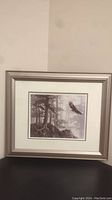 Full view of framed American bald eagle picture with trees and rocks.