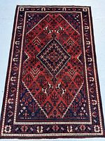 Full top-down view of rug showing overall design and color
