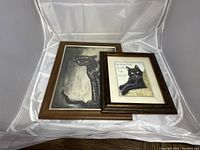 Two framed cat pictures together, showing size comparison and general presentation.
