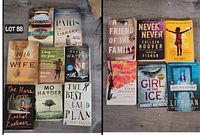 Photo shows 14 thriller and drama novels arranged in two groups on a surface, showing front covers clearly for identification