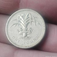 Close-up image of one side of the 1985 one pound coin showing the crowned leek design and denomination inscription.