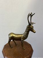 Solid brass reindeer statue on a wooden surface, showing overall side profile and detailing of antlers and textured fur on neck and legs.