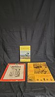 Three vintage tourism books displayed against a dark backdrop, showing covers and their condition