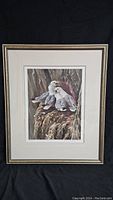 Framed print of three kittiwake birds on a cliff in naturalistic detail with white mat and frame.
