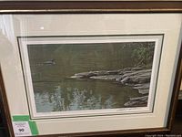 Framed lithograph showing a common loon on a lake near a rocky shore, double mat and wood frame visible