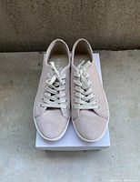 Front view of the pair of light beige DKNY suede sneakers with white laces on a white shoebox.