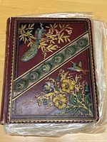 Full front cover of the Victorian children's scrapbook showing embossed peacock, flowers, and peacock feather inlay