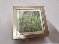 Front view of square framed artwork showing green fern leaf design on handmade paper.