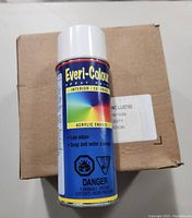 Single can of Everi-Colour spray paint shown with cardboard box in background. Blue label with color gradient and warning icons visible.