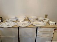 Overview photo showing the entire set of plates and bowls arranged on a surface.